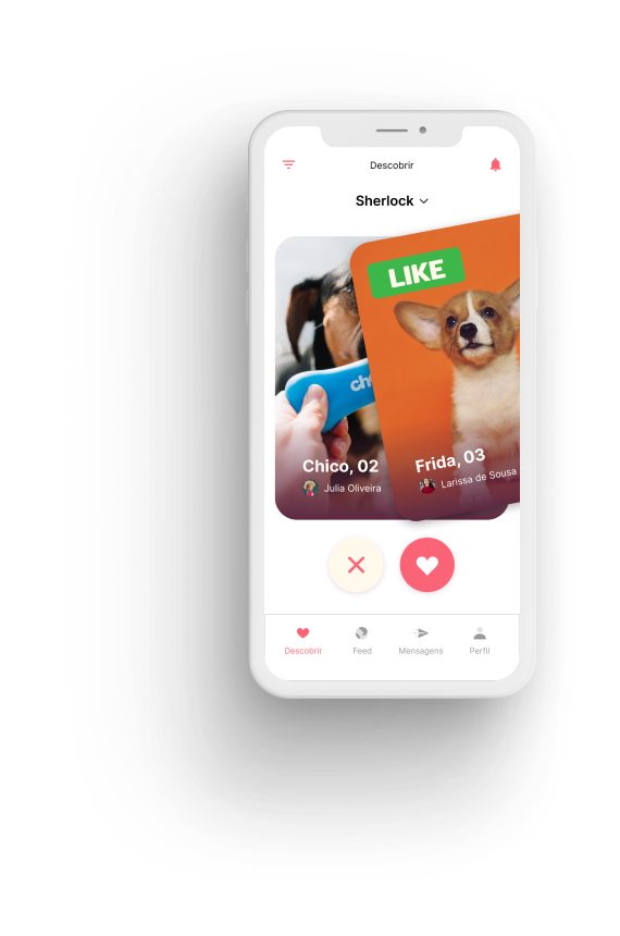 Imagem do app Amor de Cão